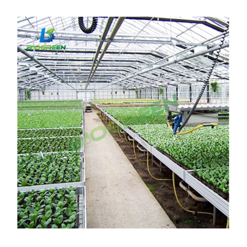 China Supplier Cheap Price Tunnel Greenhouse