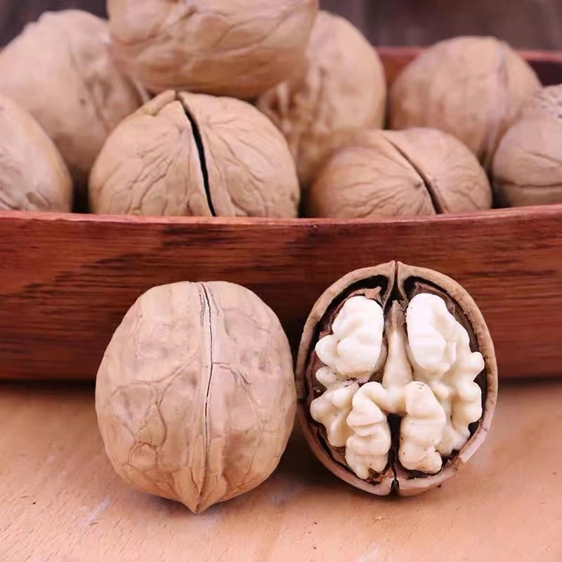 سعر الجملة الرخيصة عالية الجودة walnuts Chandler Inshel walnuts