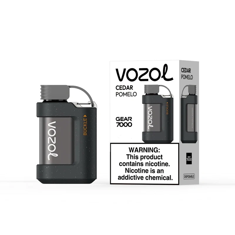 Vozol Gear 10000/7000/6000 Wholesale/Supplier Vape with Excellent Flavors Vape Smoking Vape Pod