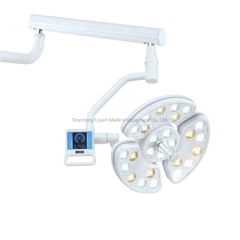 CE métal électrique 18W à LED Lampe dentaire C6 lumière orale Chirurgie vétérinaire de la lumière au plafond