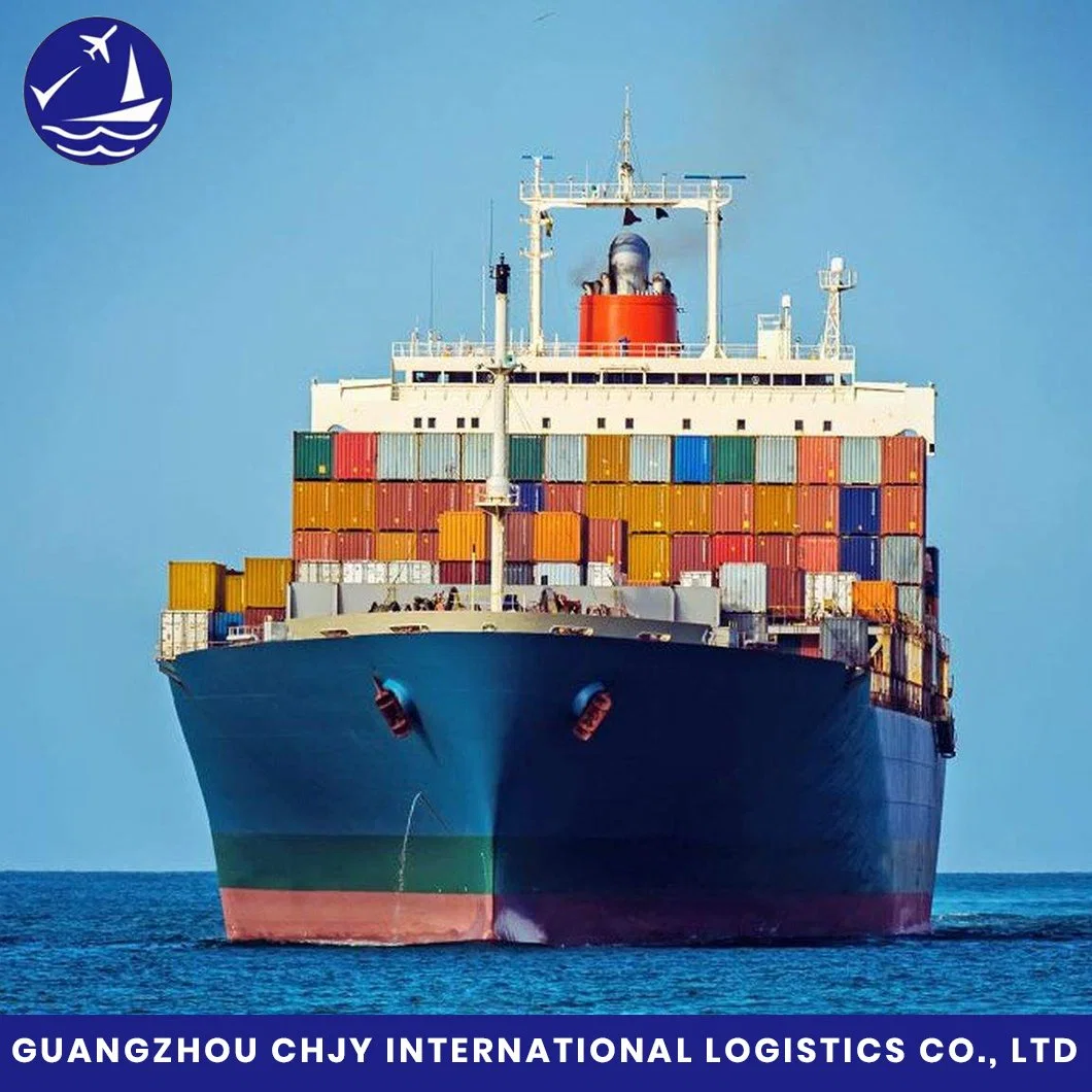 FCL/LCL DDU Transporte Logística Transporte marítimo Forwarder con el Precio más bajo Y el mejor servicio de China a América/Canadá