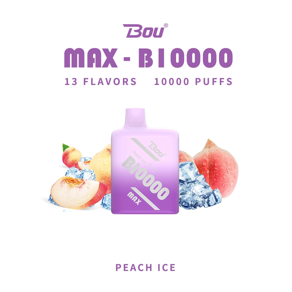 Bou Max B10000 Vape Pen 7000 Puffs E Smoking Cigarette Factory Price