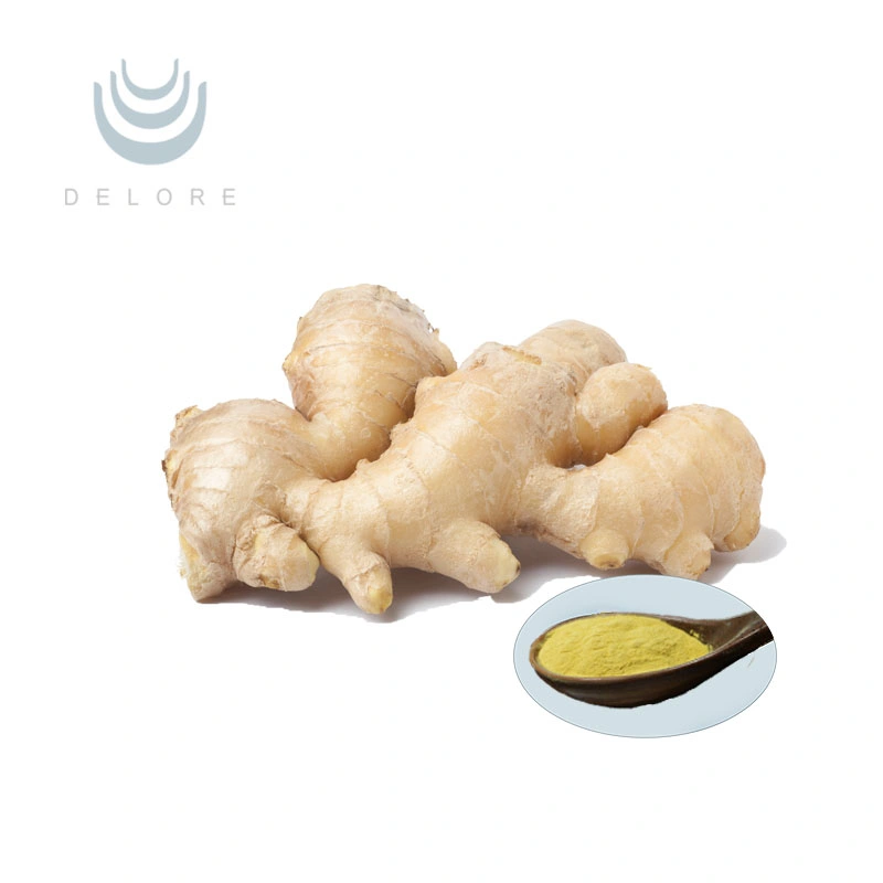 High quality/High cost performance  100% Natural Ginger Extract Ginger Root Extract Ginger Extract Powder Ginger Extract Gingerols