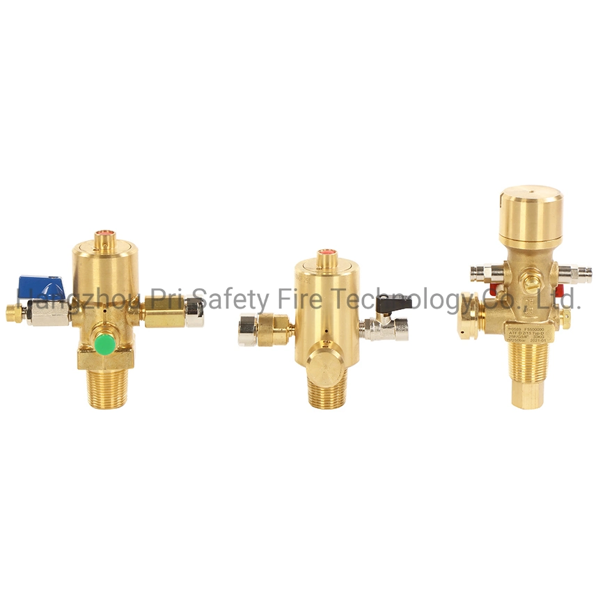 Dhp CO2 Valve for Egypt Market