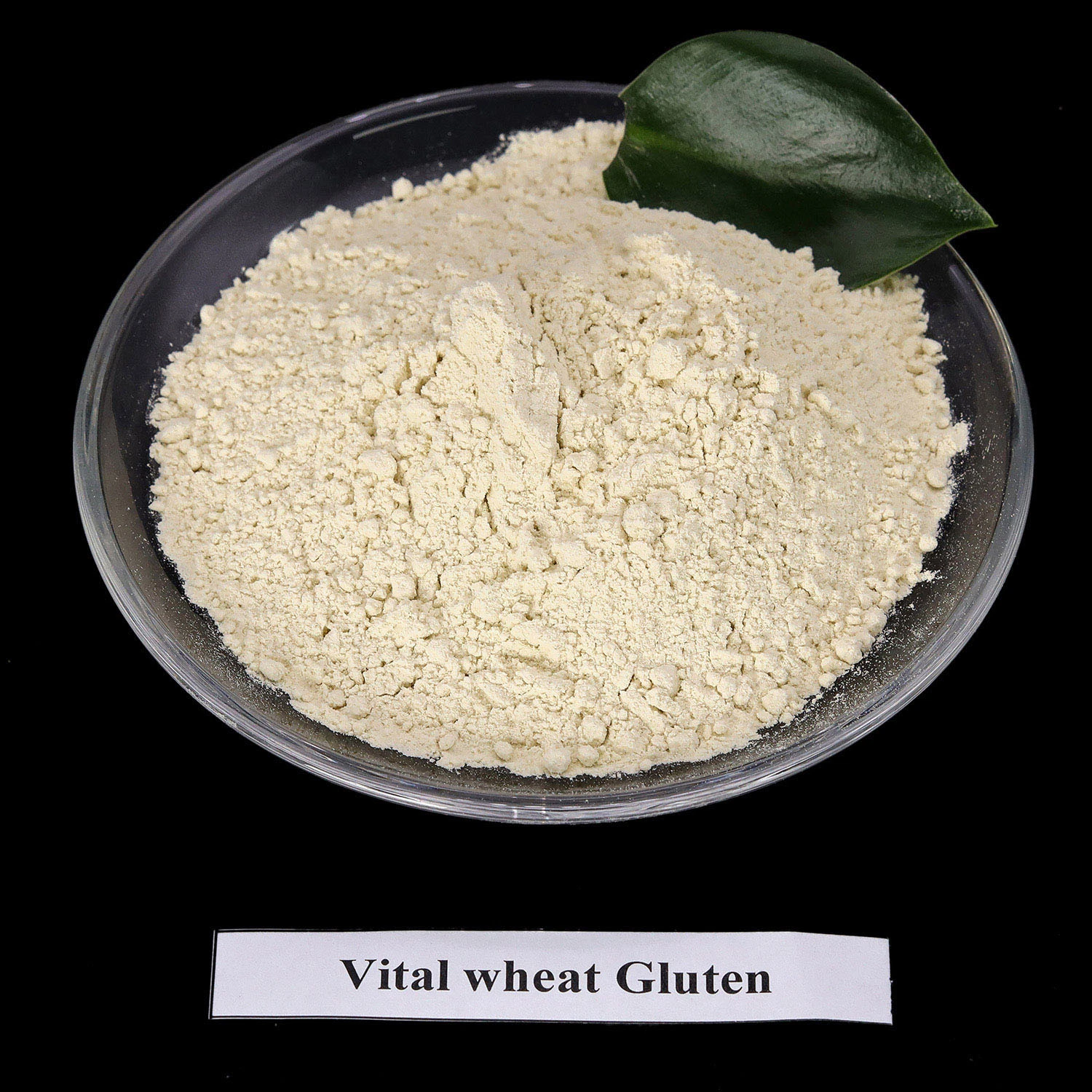 Hot Sale China Manufacture Food Grade Wheat Gluten/Vital Gluten Flour