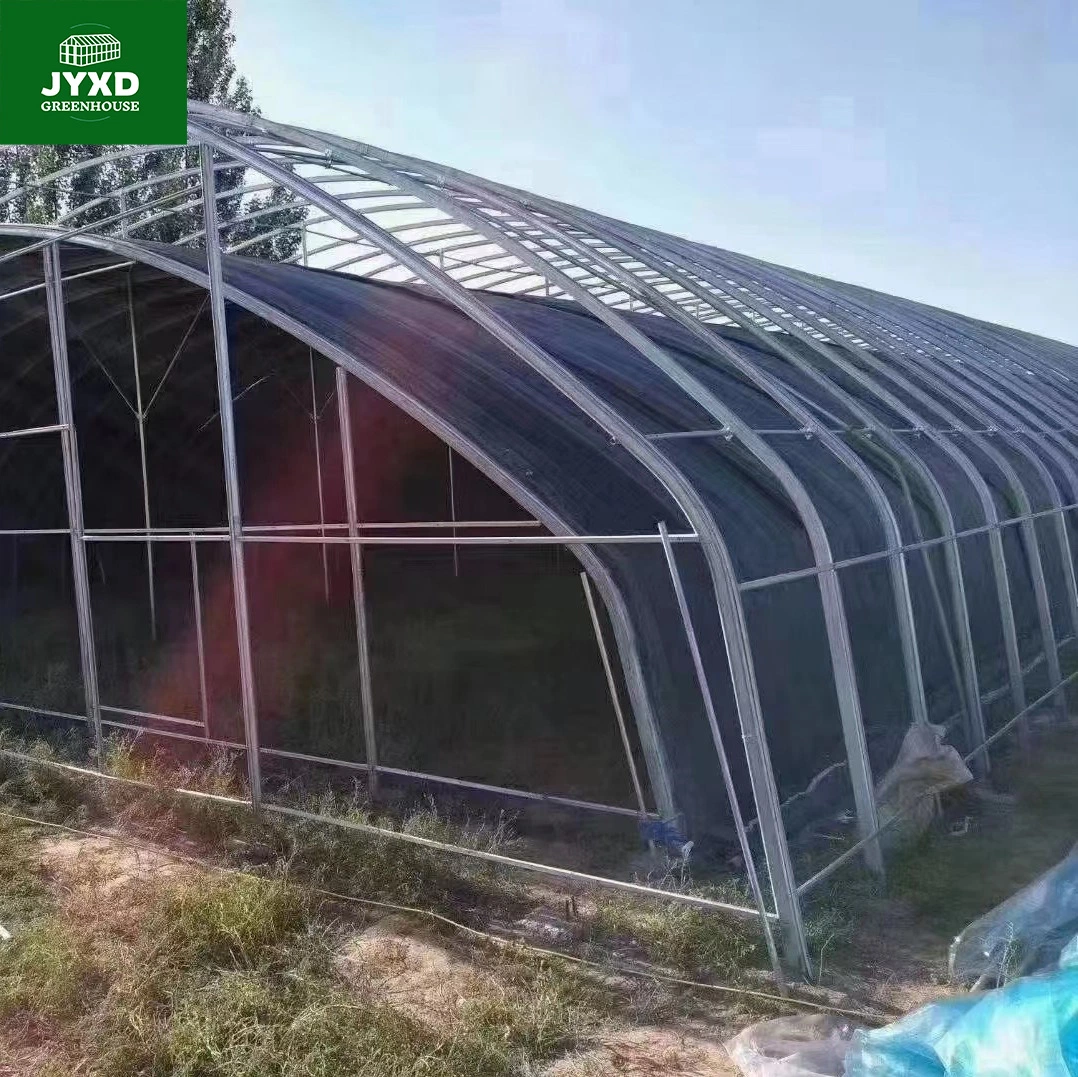 Moderne Landwirtschaft Multi-Span maßgeschneiderte Oval Tube Gewächshaus mit Hydroponics System Kühlsystem für Gemüse Obst Blumen Salat Tomate