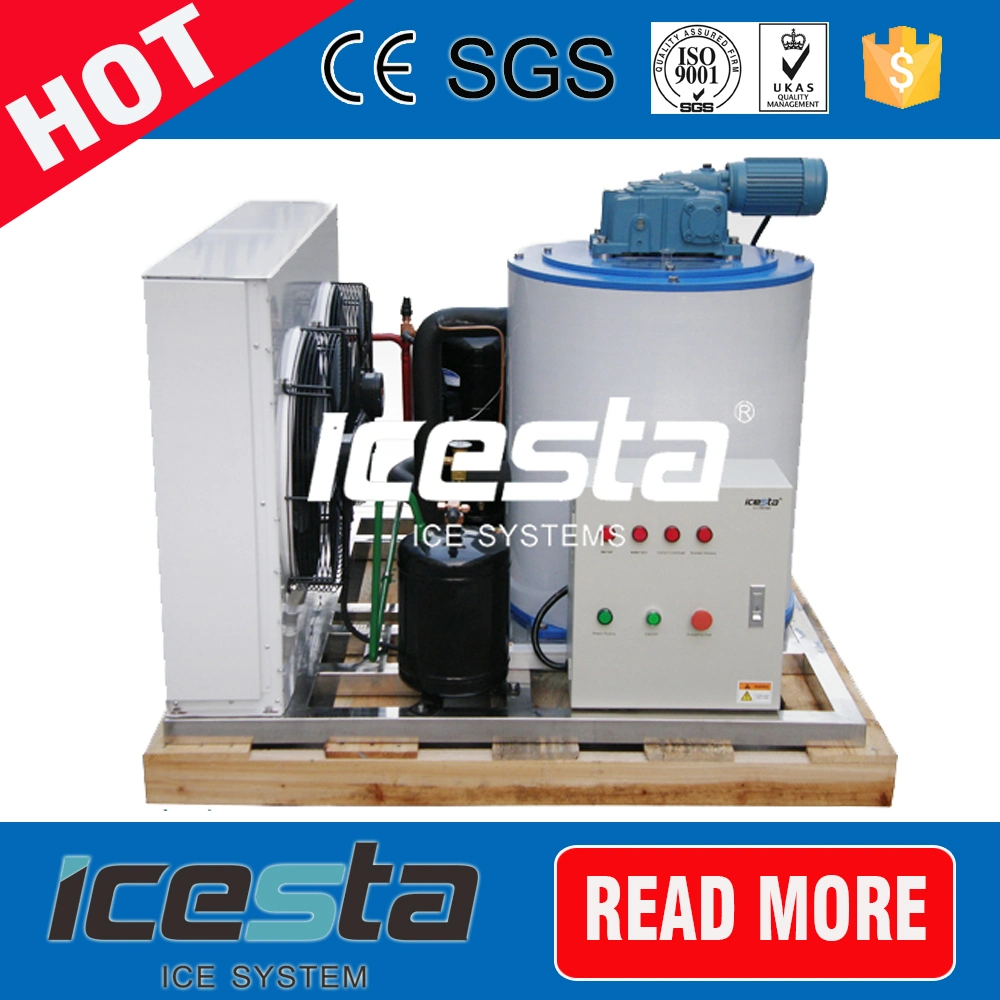 Automatic Control Commercial Ice Making System for Seafood Preservation