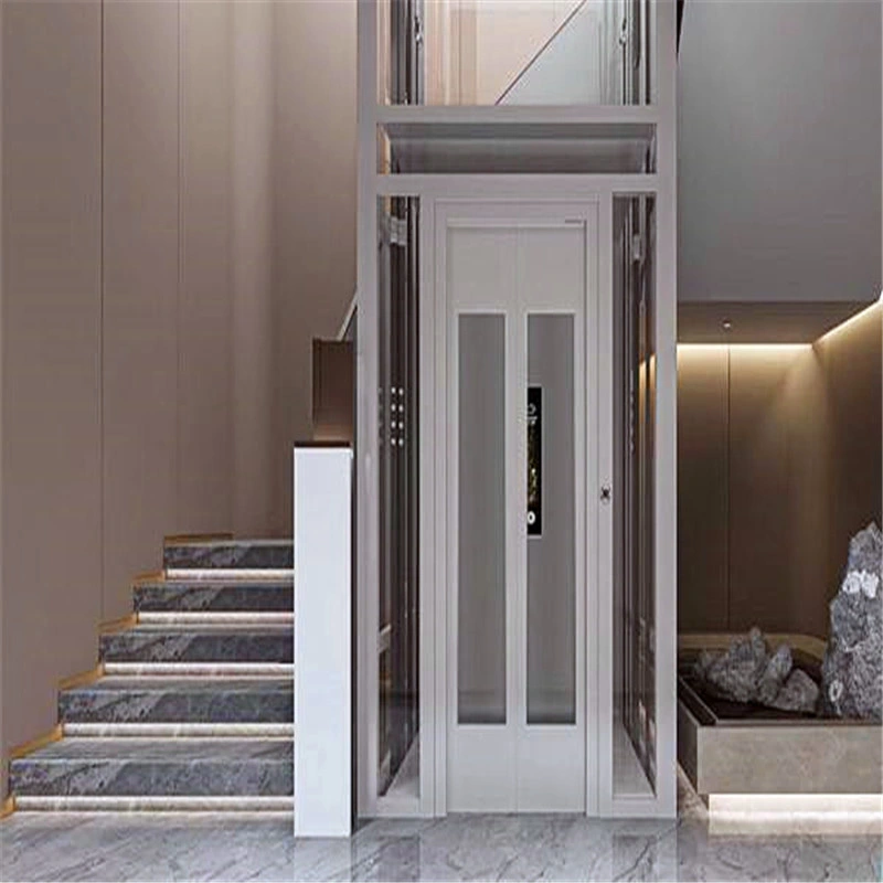 Hot Selling Lift Villa Elevator With Glass Steel Shaft