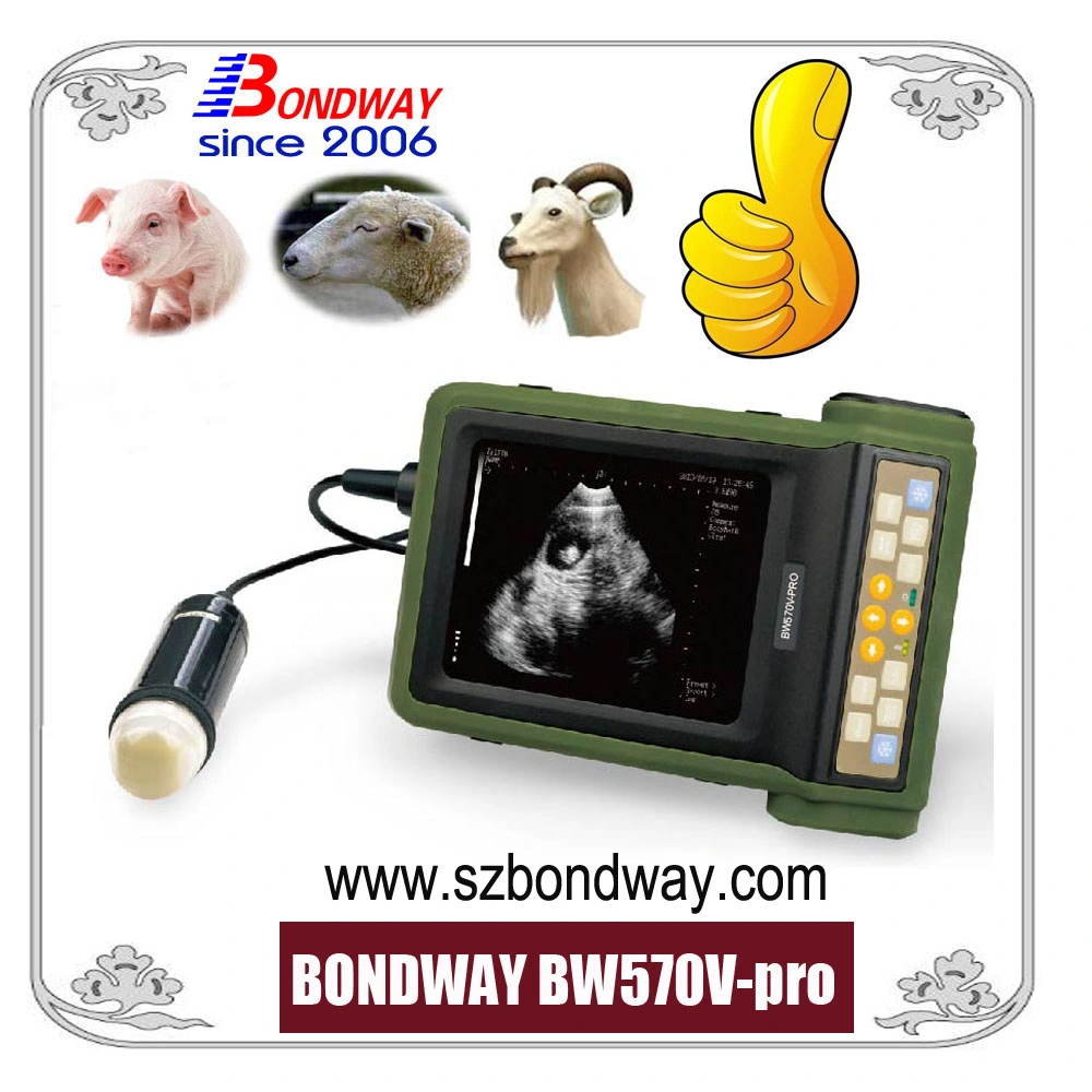 Outdoor Use Digital Ultrasound Scanner for Farm Animals