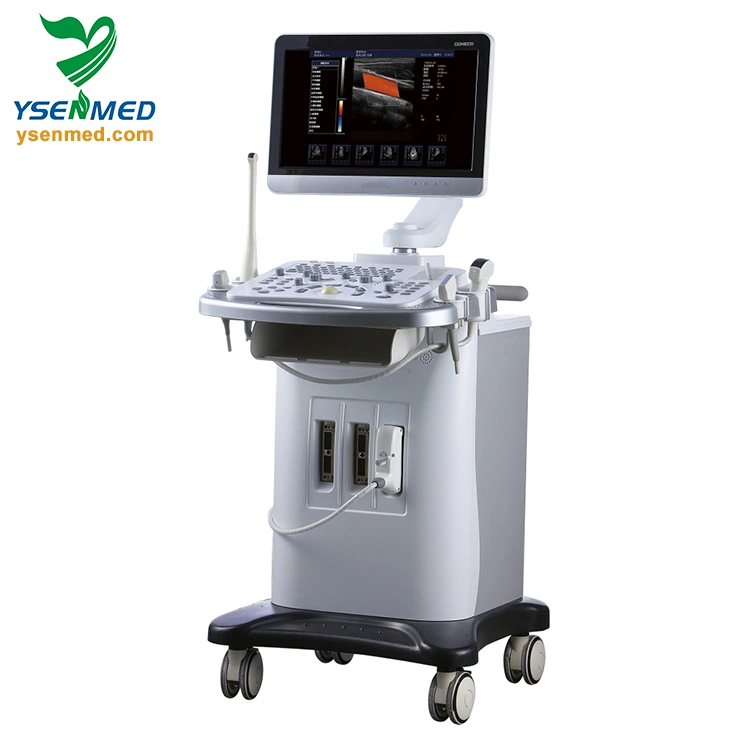 Ysb6000PE Medical Trolley 3D 4D Color Doppler Ultrasound Scanner Medical Equipment