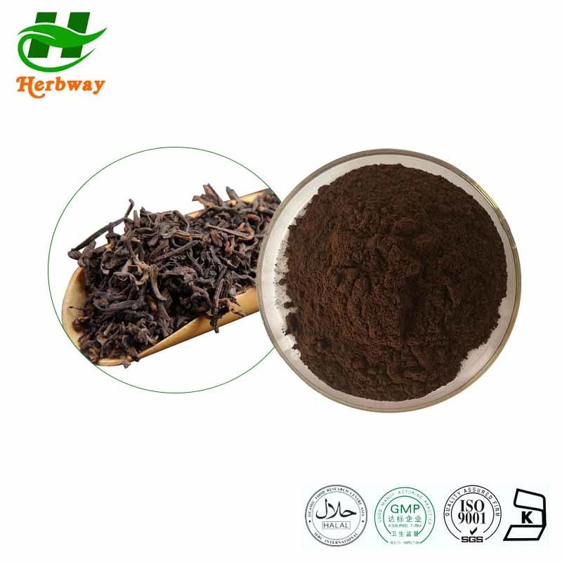 Herbway Kosher Halal Fsc HACCP معتمد من قبل Thiaflavin Camellia Sinensis Var. مستخرج شاي أساميكا بير