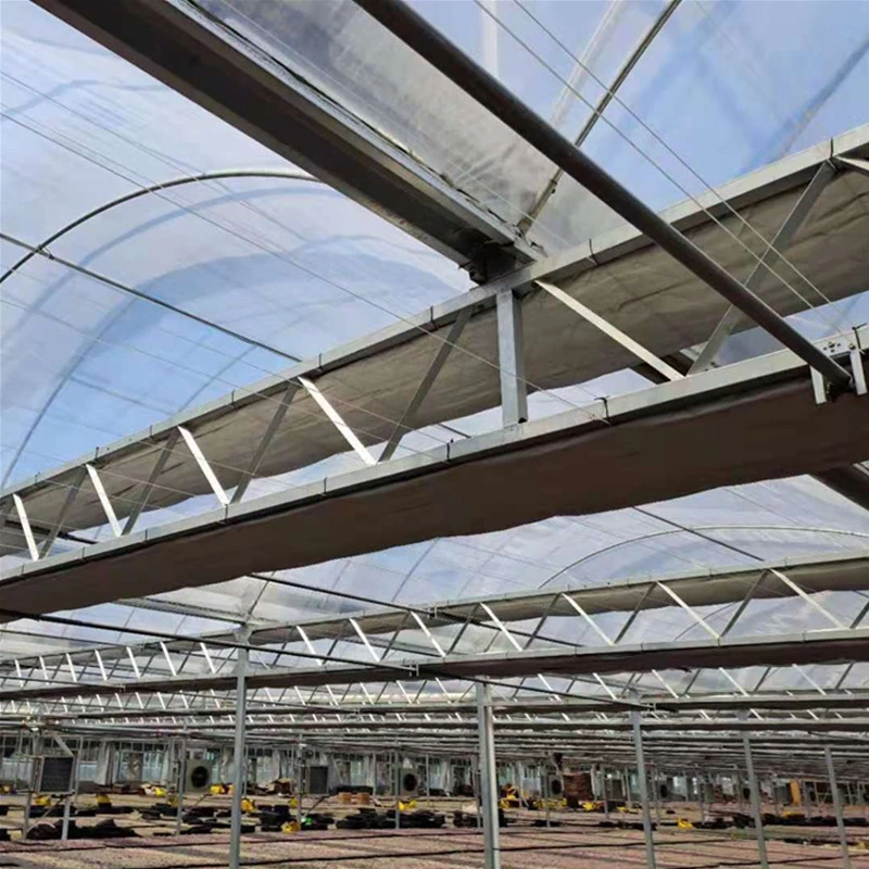 Film agricole multi-Span Arch-Type PE Greenhouse pour l'agriculture verticale