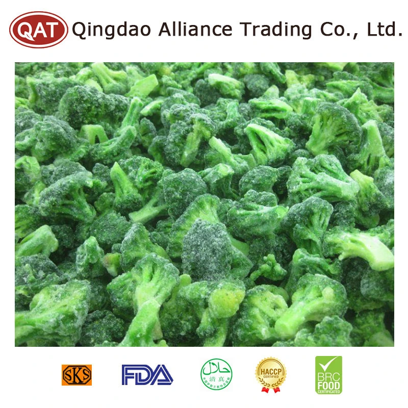 New Season Low Price No Worm IQF Broccoli Vegetables Frozen Broccoli Floret