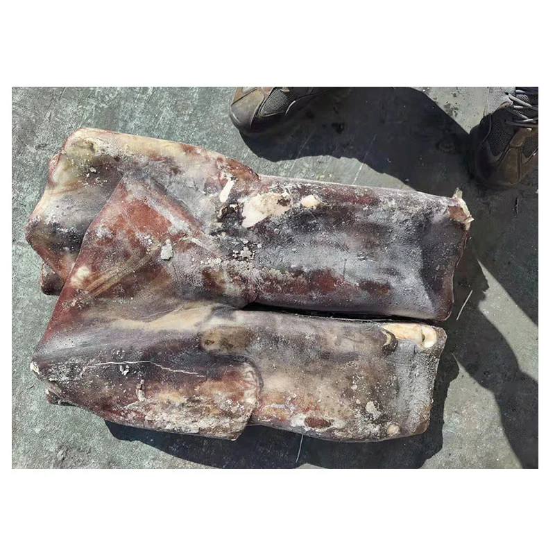 Good Quality Seafood Sea Frozen Giant Squid Tube 2-4kg for Vietnam