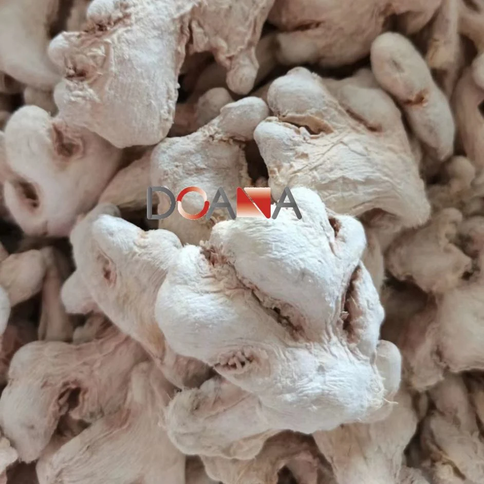 Ginger Factory Supply Good Quality Dry Ginger Block From China