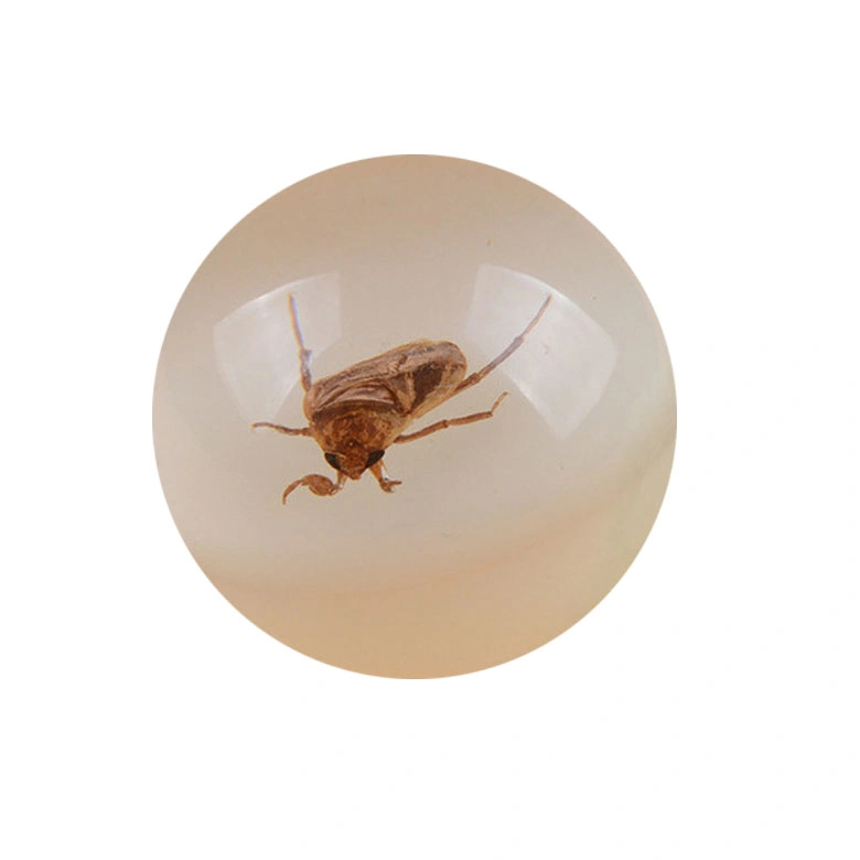 New Arrival Transparent Epoxy Resin Insect Paper Weight Souvenir Craft