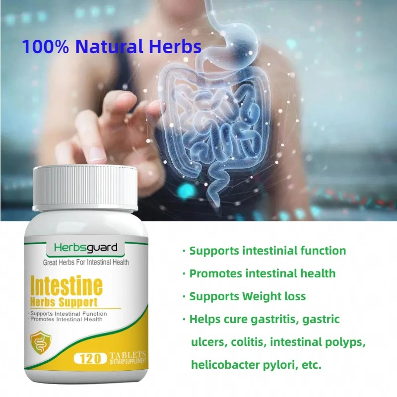 Effective and No Side Effect Chinese Traditional Medicine Formula for Intestine Function Health Support Food Supplement