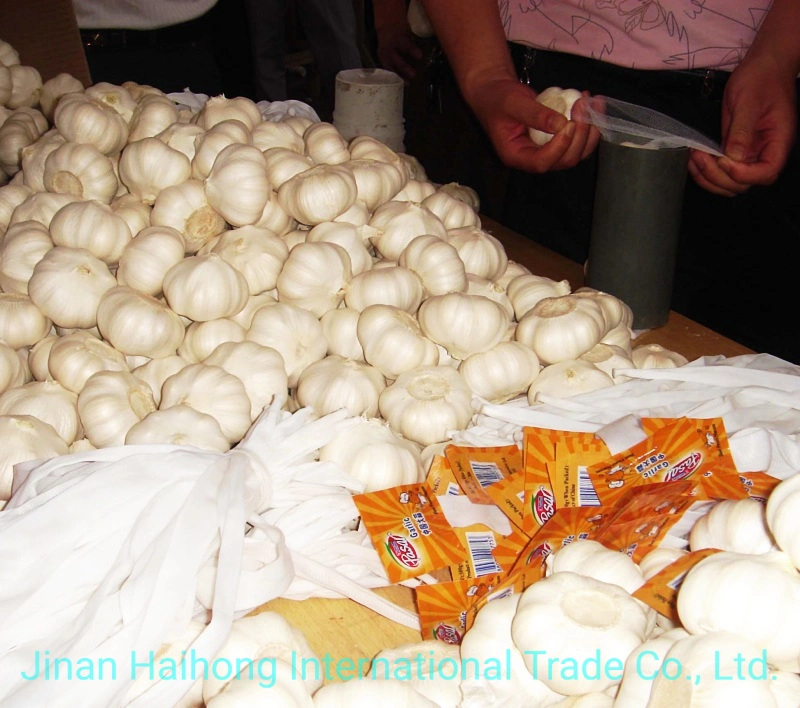 Chinese Fresh White Garlic for Export of Fresh Vegetables