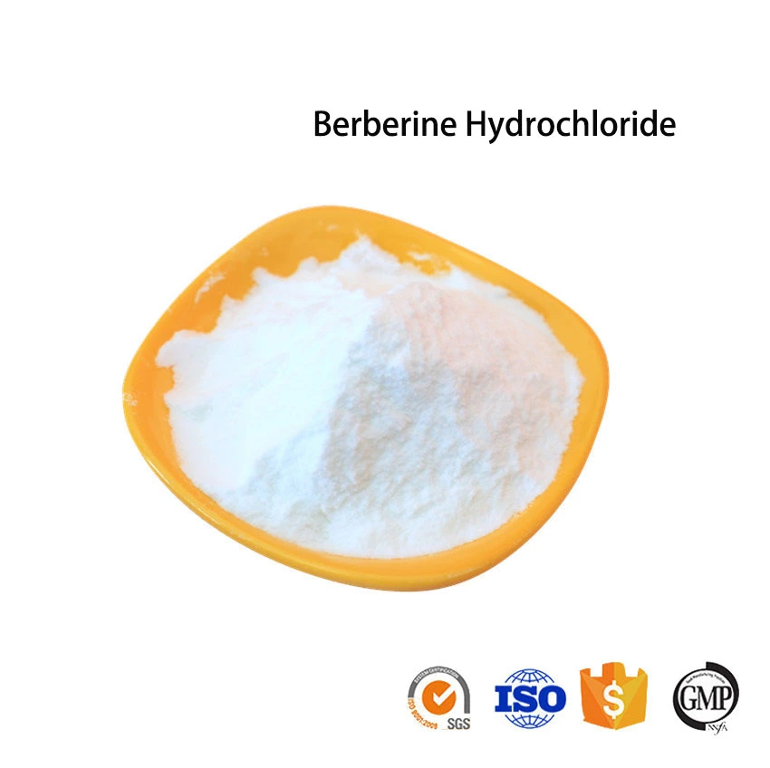 Berberine HCl Rhizoma Coptidis Extract CAS 633-65-8 Berberine Hydrochloride Powder