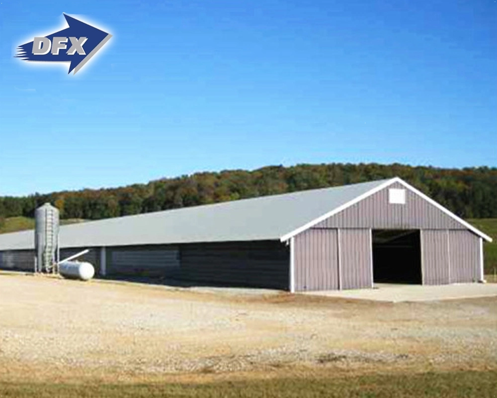 Stahl Struktur Huhn Verwendung Geflügelhaus / Chickend Farm / Broiler Hühnerhaus