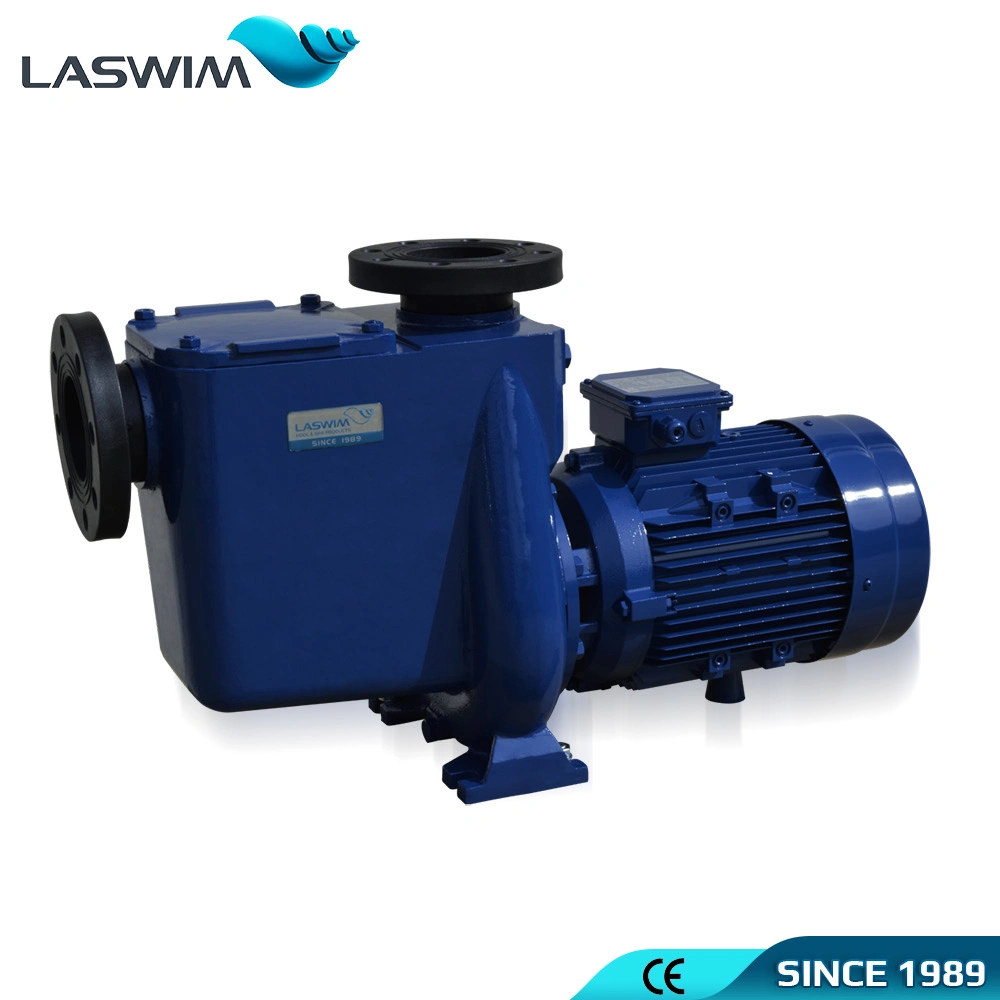 China Manufacturer Factory Price Swimming Pool Pump High Quality Water Pump