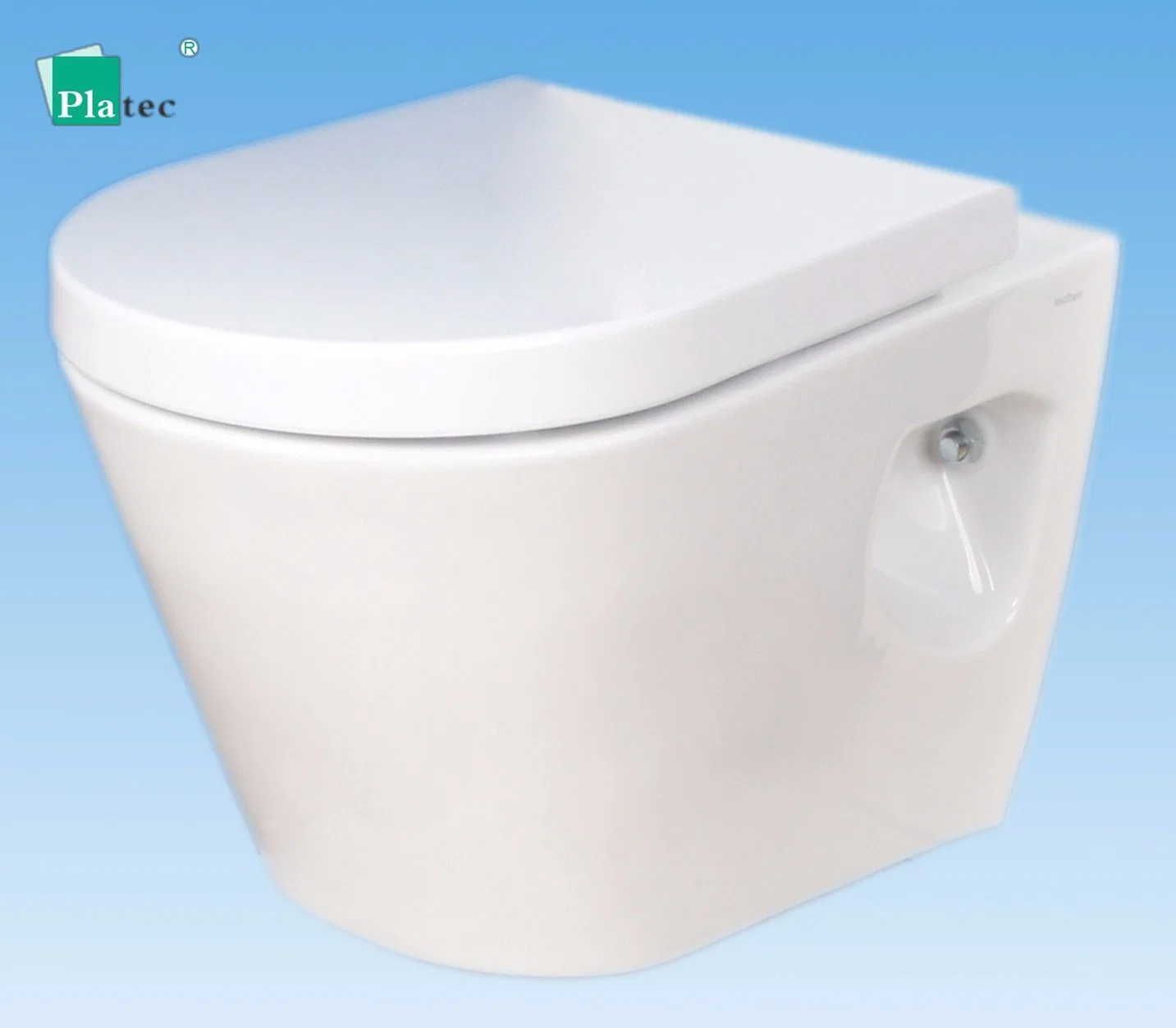 Stainless Steel Squating Vacuum Toilet