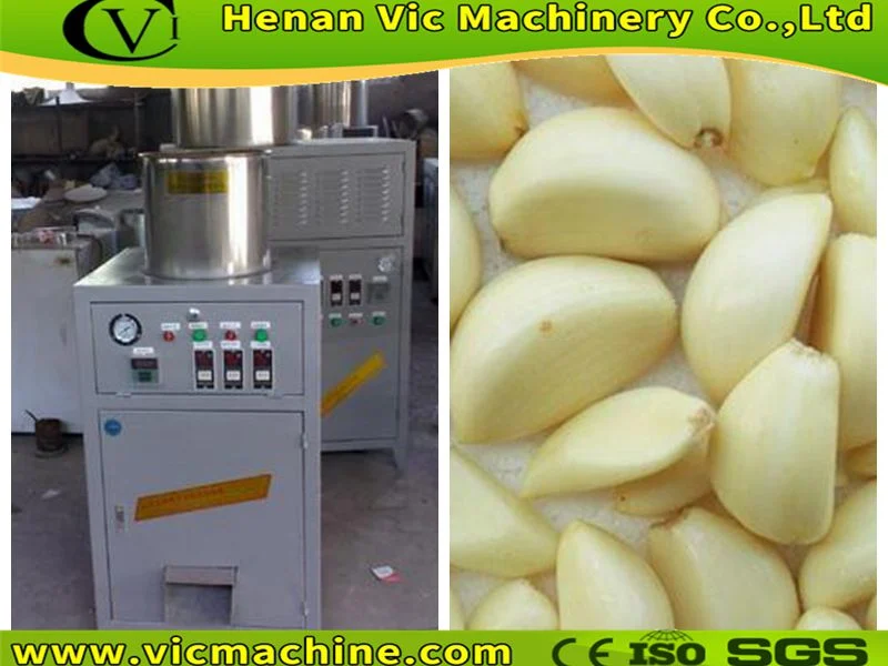 Wonderful factory offer Garlic peeling machine