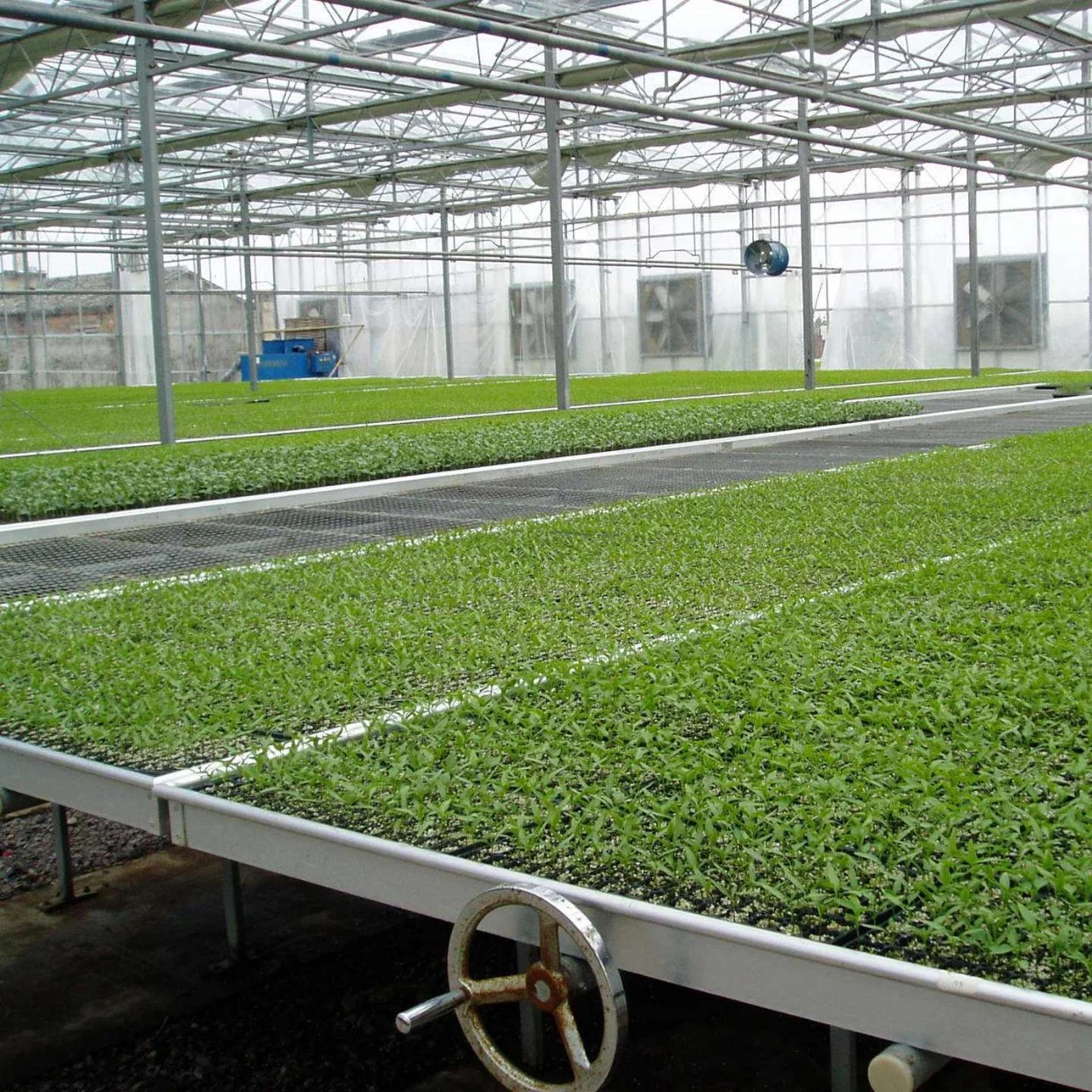 Can Be Customed ABS Multi Span Agricultural Greenhouse Hydroponic Systems Price Customizable Size