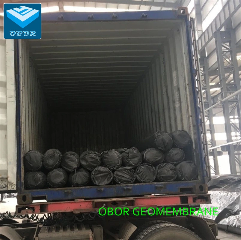 ASTM/GB Standard Geomembrane with Direct Factory Price China