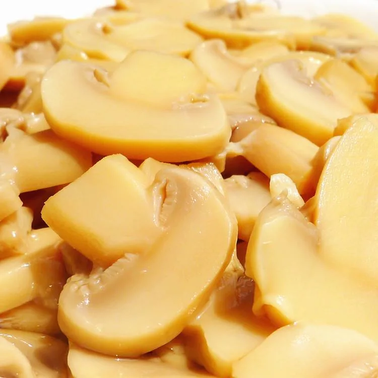 King Oyster Mushroom Slice Pieces and Stems with High quality/High cost performance 