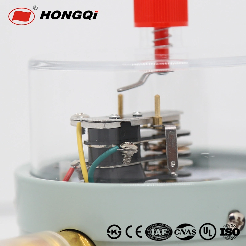 Hongqi&reg; Electric Contact Pressure Gauge with M20*1.5 Connection Thread