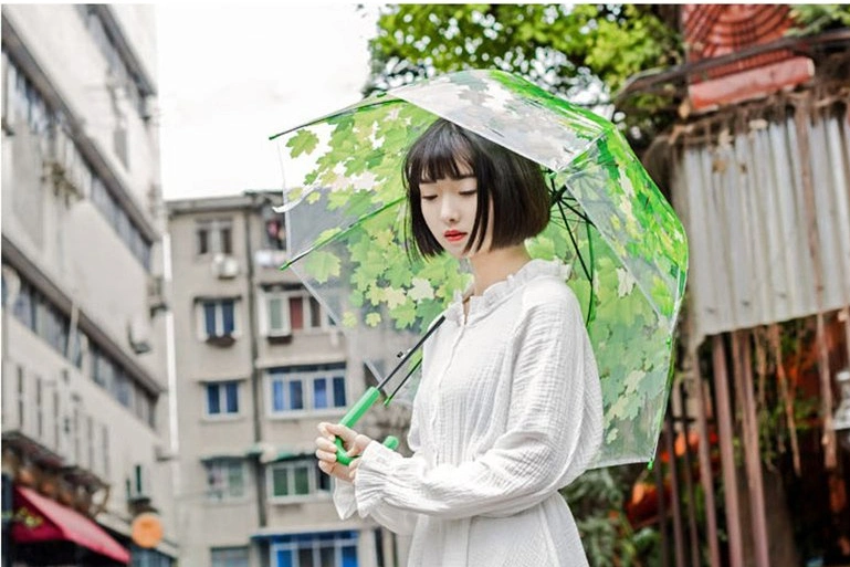 Fancy Eye-Catching Stylish Clear Vibrant Tone-to-Tone Printed Dome-Shaped Transparent PVC Umbrella