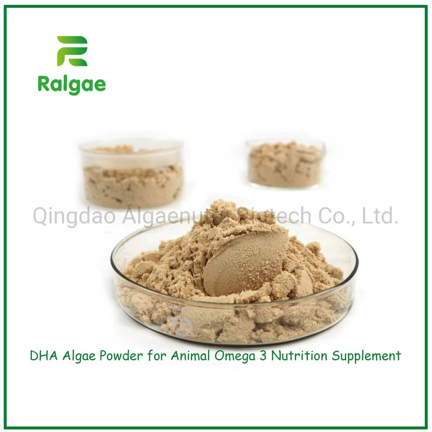 Microalgae Schizochytrium Powder Feed Grade 18% DHA for Pet Nutrition Supplements CAS6217-54-5