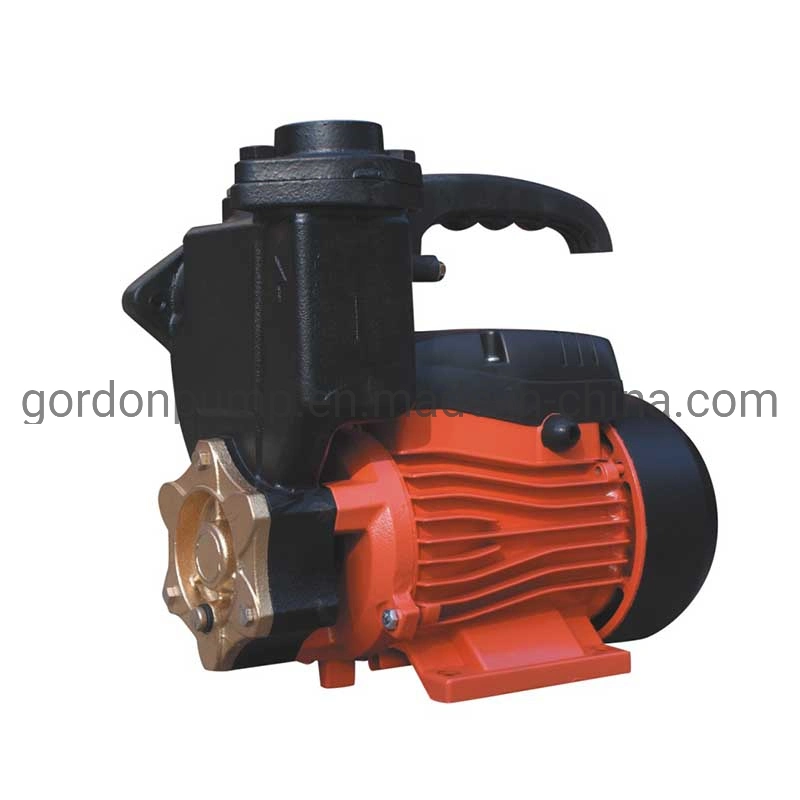 PS128 Surface Water Pumps Electric Power Bomba