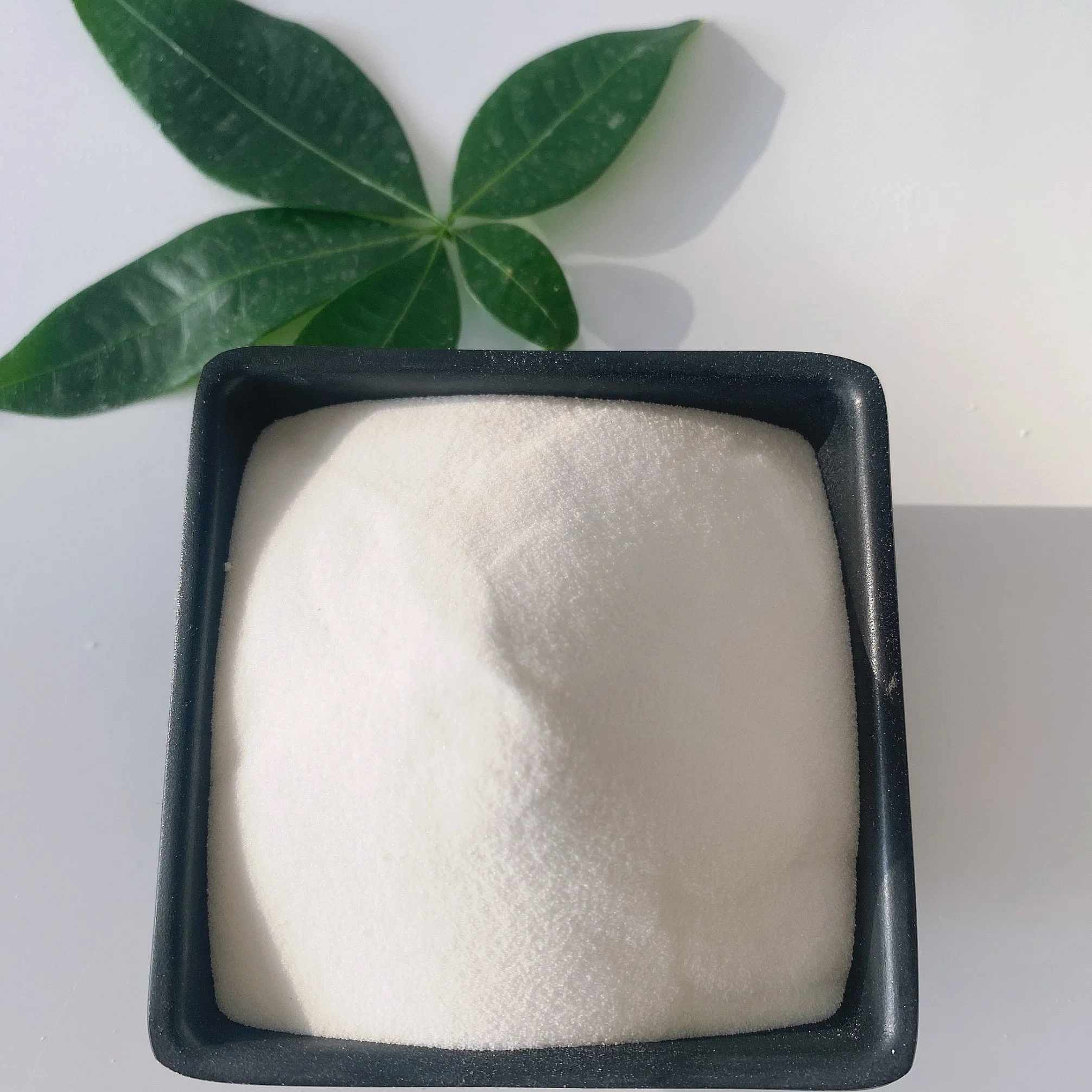 CAS No. 544-17-2 Calcium Formate Large Supplier in China