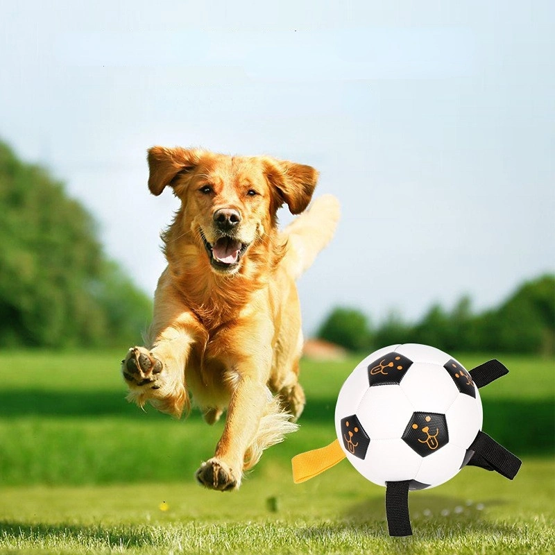 Cross Border Popular Pet Products Dog Football Toys Outdoor Training Puzzle Interactive Rope Football Pet Toys