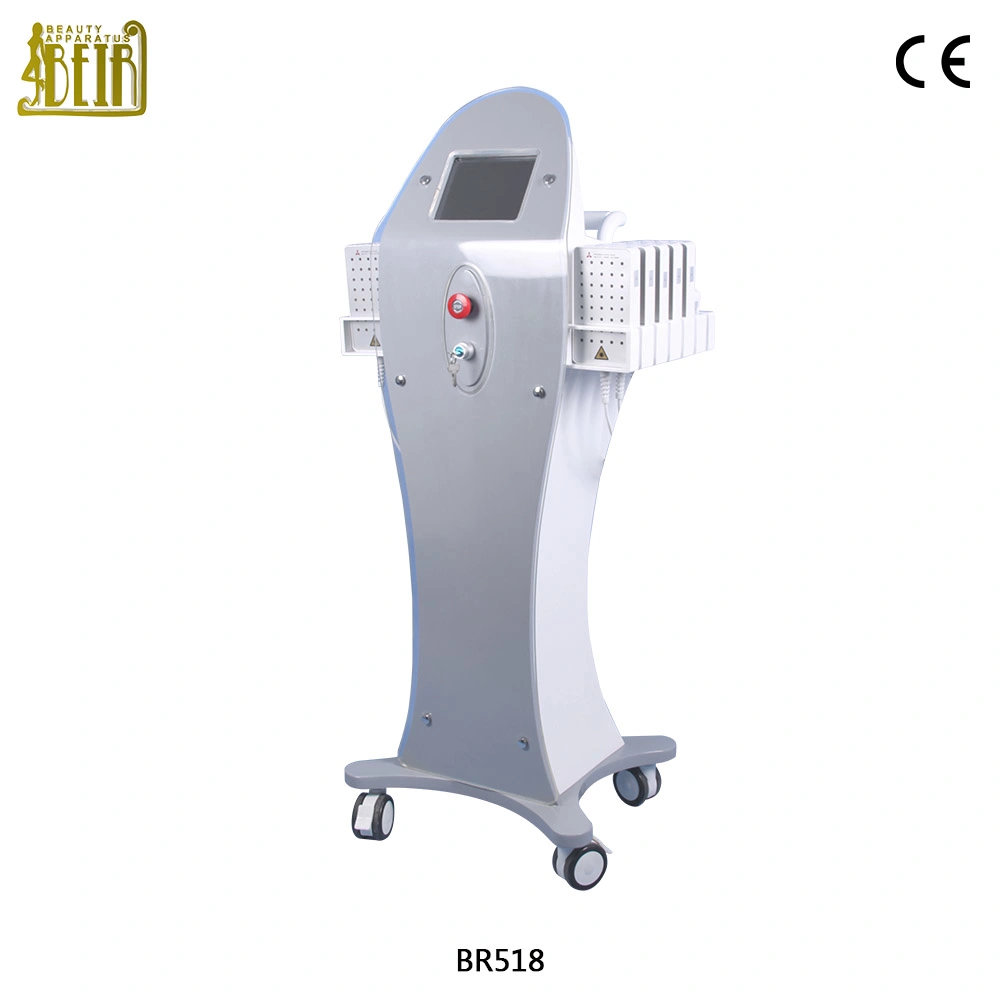 Vertical Dual Diodo Wavelength Precio De Lipolaser 650nm 980nm Lipo Laser Slimming Machine