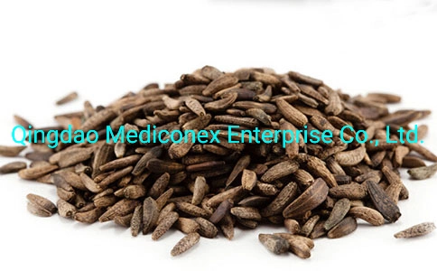 Glycine Max Seed Natural Herb Prepared Traditional Chinese Herbal Medicine Exterior Releasing