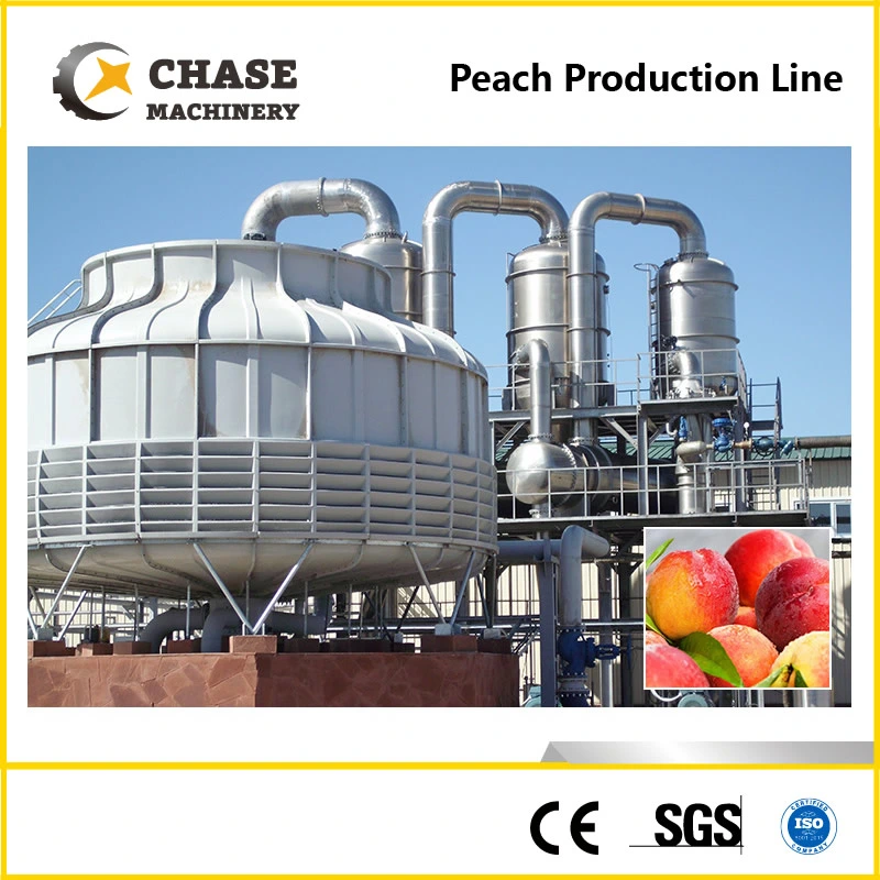 Automatic Tomato Paste Sauce Fruit Juice Jam Evaporation Plant