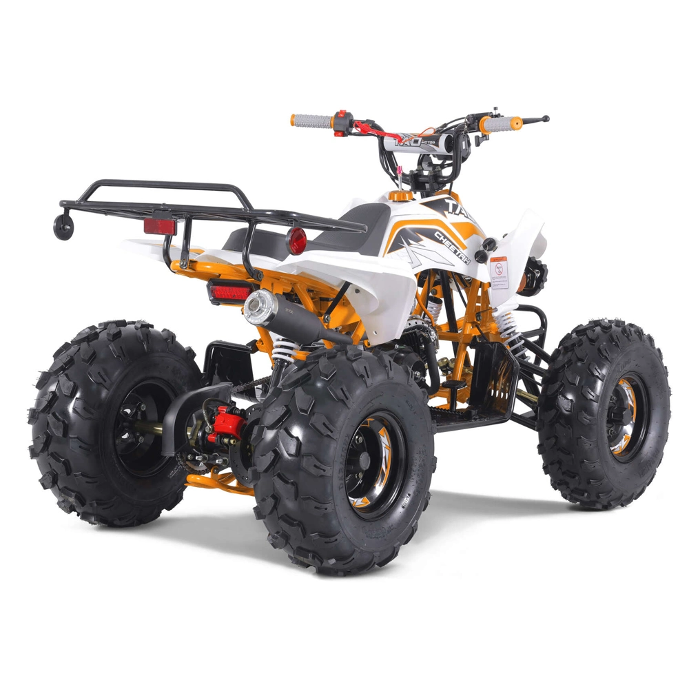 New Design Sport Style ATV Quad Bike 110cc 125cc ATV