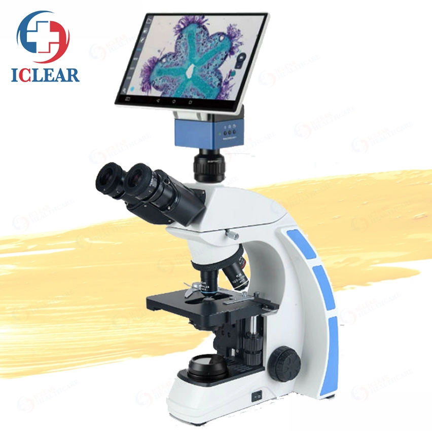 Microscope biologique numérique HD avec écran