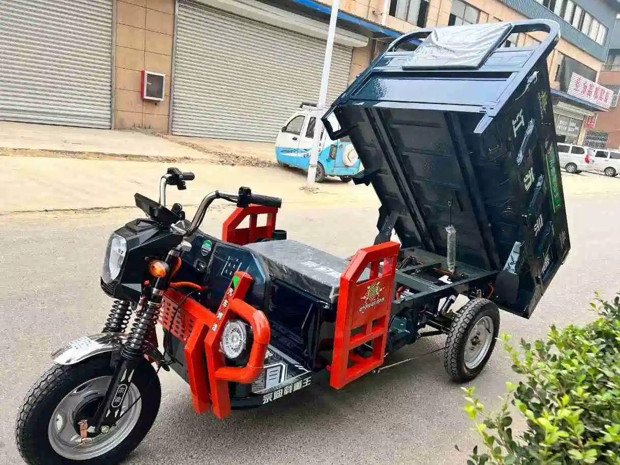 Electric Cargo Tricycle Factory Hot Selling 3 Wheel Electric Trike for Cargo
