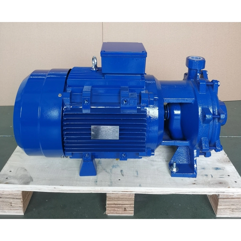 Characteristics of Centrifugal Pump Motor Input Power: 15HP X 100