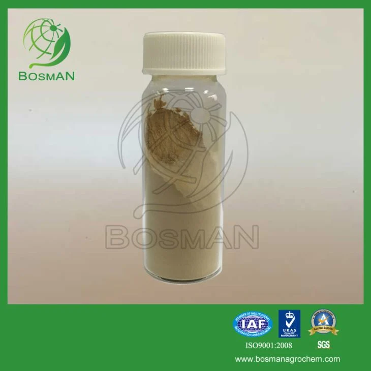 Hot Sale fongicide produits agrochimiques mancozèbe 80%WP en Chine Bosman fournisseur