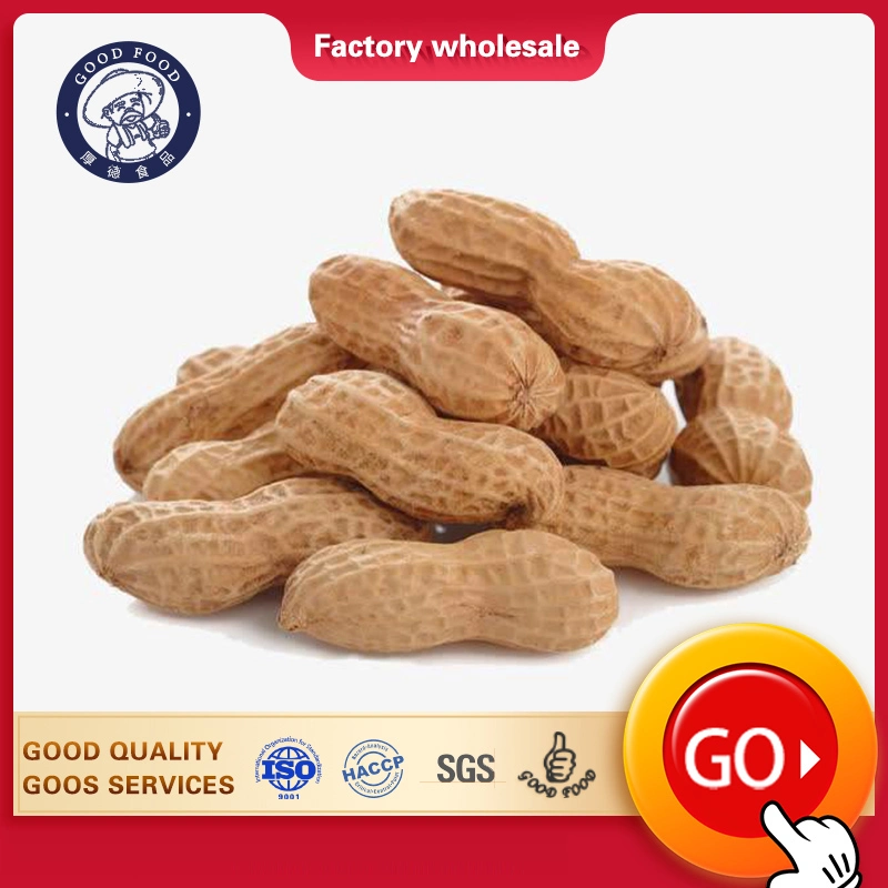 Ex-Factory Price Import Prices of Raw Peanut in Shell in China