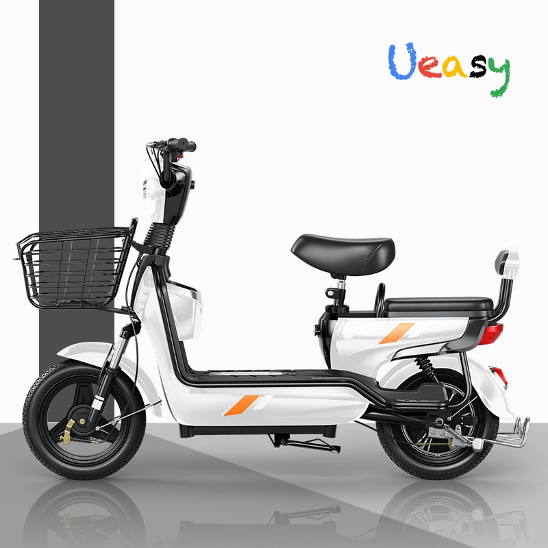 Wholesale/Supplier Buy Custom Fat Tire Brushless Electric Bike for Adult with CE