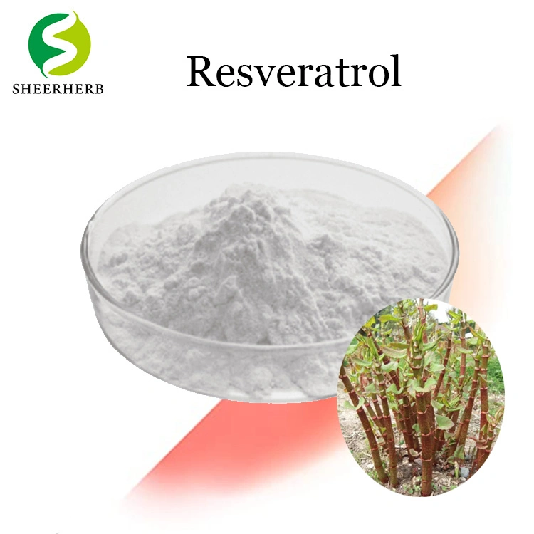 Health Care Supplement Giant Knotweed Extract Resveratrol Weight Loss Micronized Resveratrol Powder