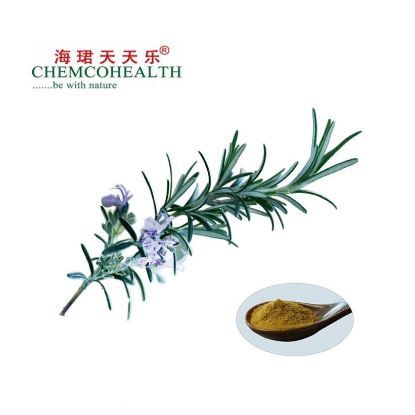 Herbal Extracts Carnosic Acid 5-98% Rosemarinic Acid 1-98% Rosemary Extract