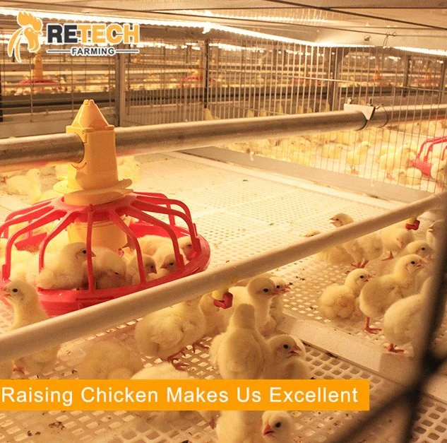 Automatic Broiler Chicken Battery Cage Poultry Feeding System