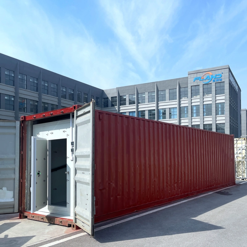 Fland Gemüse Obst Fisch Frisches Fleisch Huhn Gefrorene Lebensmittel Getränke 20ft / 40ft Reefer feuerfeste Container Cold Room Preis